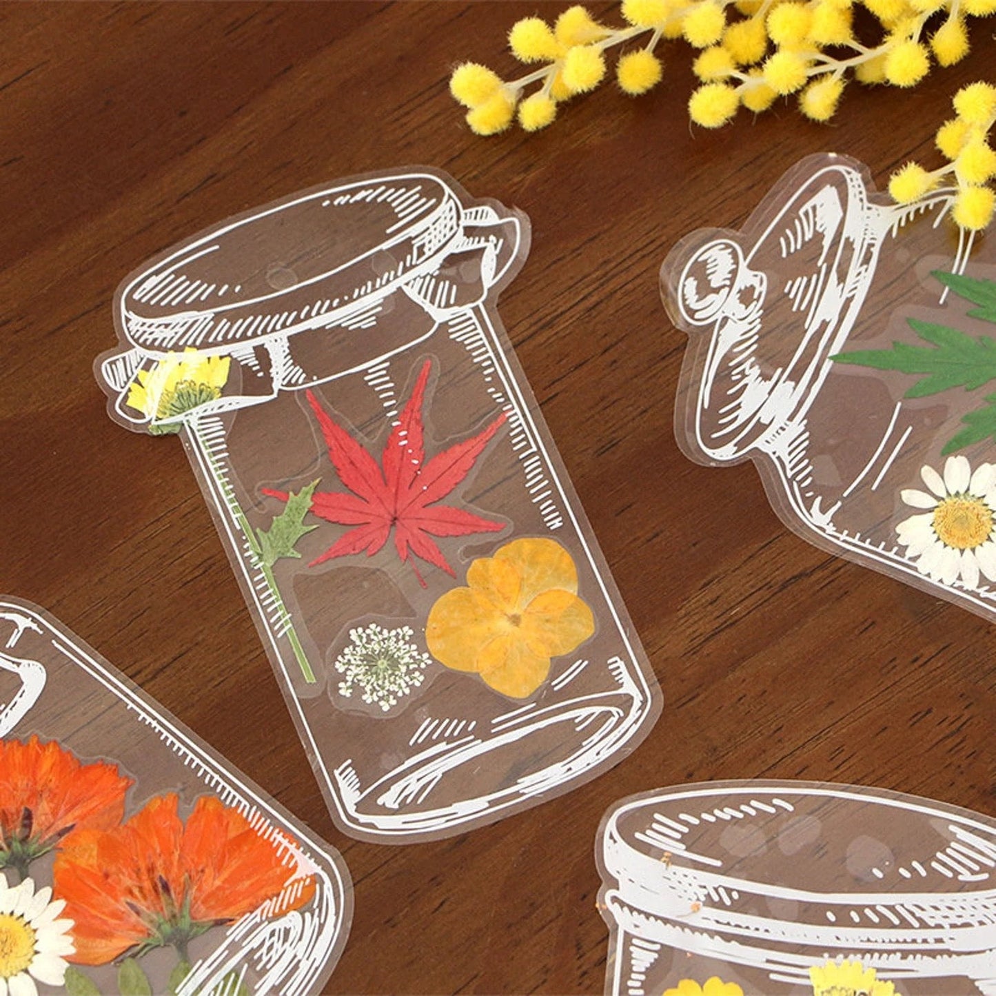 💐🌷40pcs Transparent Dried Flower Bookmarks-DIY Gifts Bookmarks